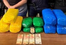 PC-AM prende homem com drogas avaliadas em mais de R$ 100 Mil em Uarini
