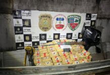 Polícia apreende 260 Kg de maconha tipo ‘skunk’ próximo de Novo Airão