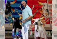 Cantor Belo confirma show em Parintins e internautas brincam: “três bois”