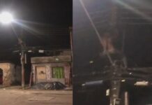 Homem morre eletrocutado após subir em poste para roubar fios de cobre; veja vídeo