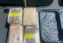 Marinha apreende 12 kg de maconha tipo ‘skunk’ em bagagem de passageiro no interior do AM