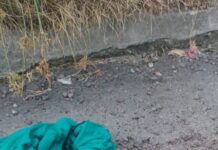 Homem é morto com 15 tiros no Viver Melhor, em Manaus; imagem forte!