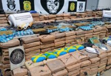 Polícia Civil do Amazonas captura 500 kg de drogas e prende mãe e filhos envolvidos no tráfico