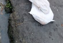 Corpo é encontrado esquartejado embrulhado em lençol no Mutirão; imagens fortes!