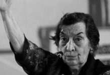 Luto! Morre a economista Maria da Conceição, aos 94 anos