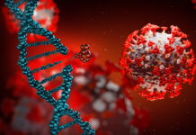 Estudo revela sintomas predominantes de Covid longa em crianças e adolescentes