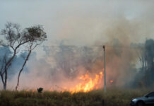 Incêndios em SP devem impactar preços do açúcar e etanol em todo Brasil