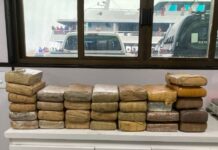Base Arpão: Cadela da PMAM encontra mais de 30 kg de drogas em embarcação