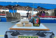 PMAM apreende três quilos de maconha em operação no interior do Amazonas e prende suspeito