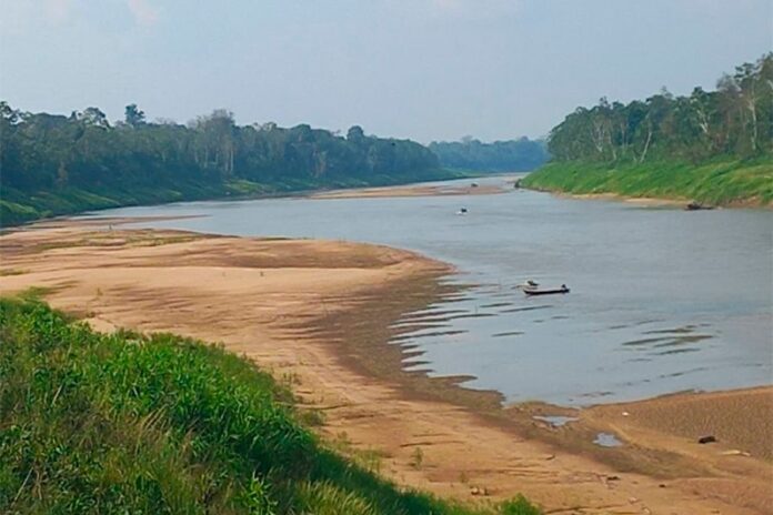 Seca em envira 2024