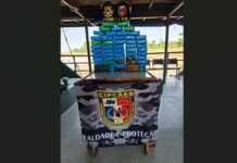 Base Arpão 1: Cadela farejadora localiza 60 quilos de cocaína ocultos em malas