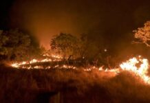 Amazonas registra recorde no número de queimadas em julho, mostra dados do Inpe