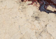 Corpo é encontrado incendiado com requintes de crueldade no ramal do Brasileirinho; cenas +18