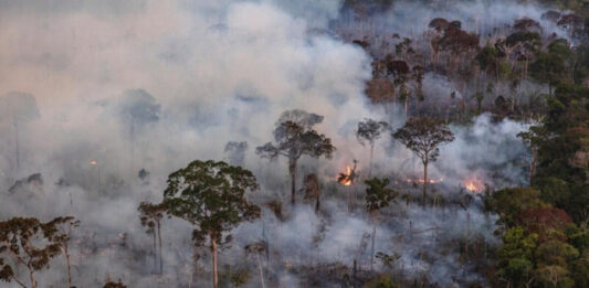 Emissões de gases do efeito estufa atingem recorde no Amazonas