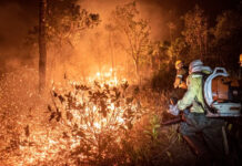 Brasil atinge 200 mil focos de incêndio em 2024, um novo recorde