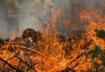 Brasil é responsável por 76% dos incêndios na América do Sul, revela Inpe