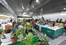 Feira Agropecuária do Amazonas deve movimentar R$ 230 milhões, segundo previsão do governo