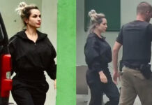 Deolane Bezerra alega ter sido encorajada a usar celular durante detenção