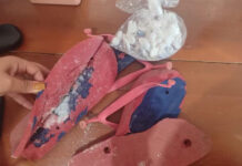 Durante revista em presídio, mulher é detida com drogas escondidas em sandália