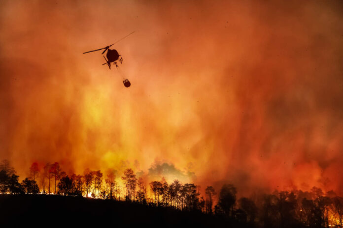 incendio-amazonia-1