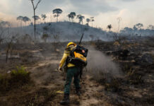 MPF abre mais de 190 investigações sobre queimadas e incêndios florestais entre 2023 e 2024