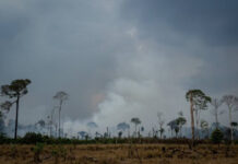 Fumaça das queimadas amazônicas atinge novamente o Sul do Brasil