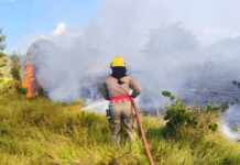 Corpo de Bombeiros enfrenta mais de 20 mil focos de incêndio com Operações Aceiro e Céu Limpo