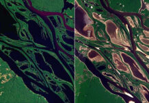 Imagens de satélite revelam a transformação dos rios Negro e Solimões durante a estiagem
