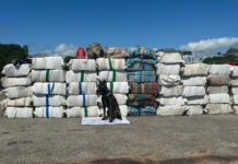 Apreensões recordes marcam operações fluviais da SSP-AM em 2024