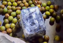 Drogas são apreendidas em sacos de tucumã em embarcação no Amazonas